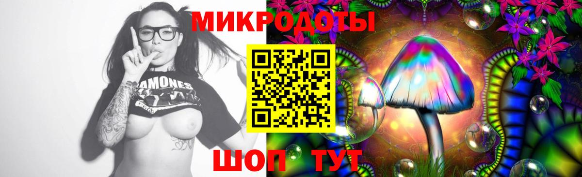 Волоколамск  Псилоцибиновые грибы прущие грибы  Вход с VPN 
