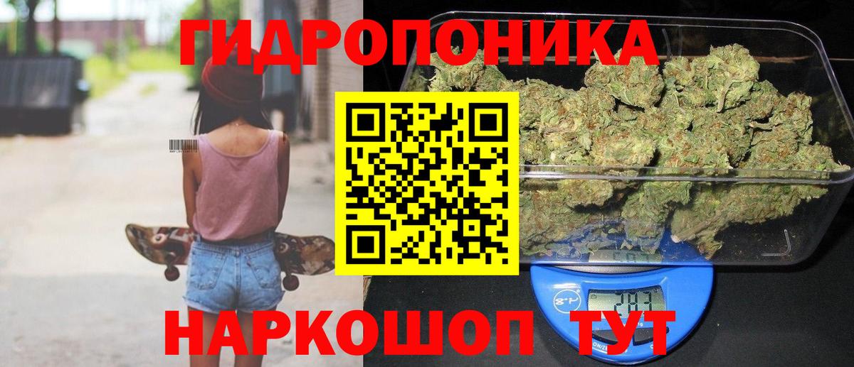 Каннабис сатива Волоколамск